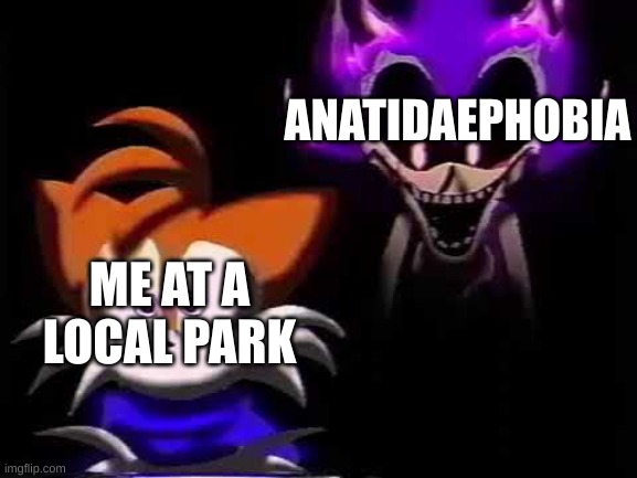 Ducks | ANATIDAEPHOBIA; ME AT A LOCAL PARK | made w/ Imgflip meme maker