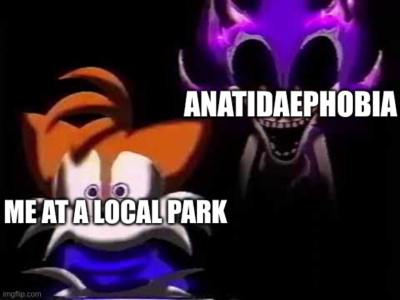 duck. | ANATIDAEPHOBIA; ME AT A LOCAL PARK | made w/ Imgflip meme maker