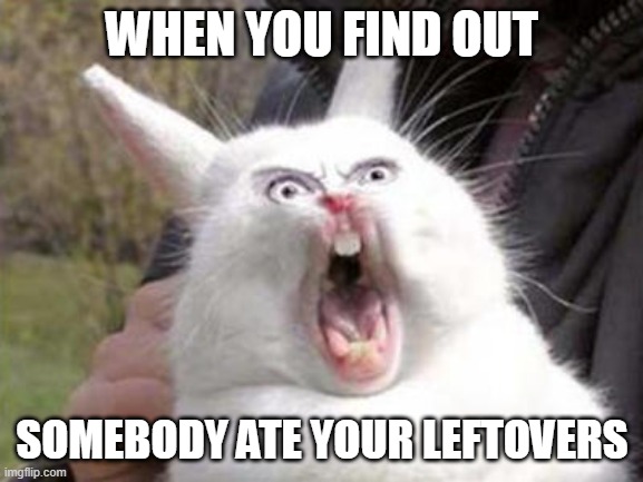 Angry Bunny | WHEN YOU FIND OUT; SOMEBODY ATE YOUR LEFTOVERS | image tagged in angry bunny | made w/ Imgflip meme maker