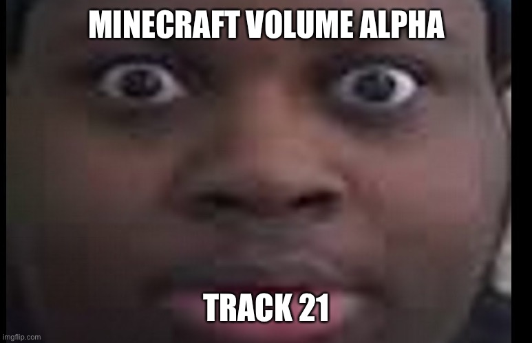 Only MSmg users will understand | MINECRAFT VOLUME ALPHA; TRACK 21 | image tagged in edp stare | made w/ Imgflip meme maker