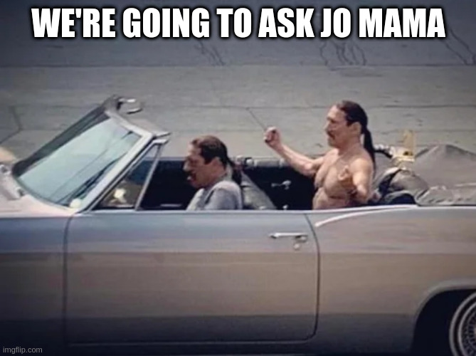 Irony | WE'RE GOING TO ASK JO MAMA | image tagged in irony | made w/ Imgflip meme maker