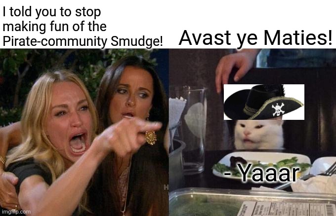 Woman Yelling At Cat | I told you to stop making fun of the Pirate-community Smudge! Avast ye Maties! - Yaaar | image tagged in memes,woman yelling at cat | made w/ Imgflip meme maker