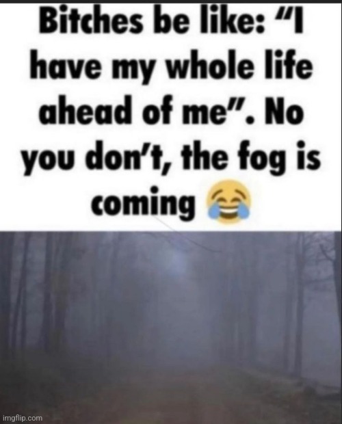 the fog | made w/ Imgflip meme maker