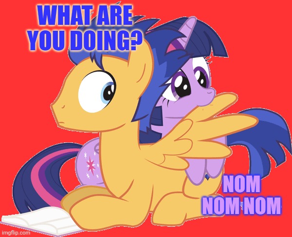 Chicken wingz | WHAT ARE YOU DOING? NOM NOM NOM | image tagged in twilight sparkle,flash sentry,mlp,nom nom nom,chicken wings | made w/ Imgflip meme maker