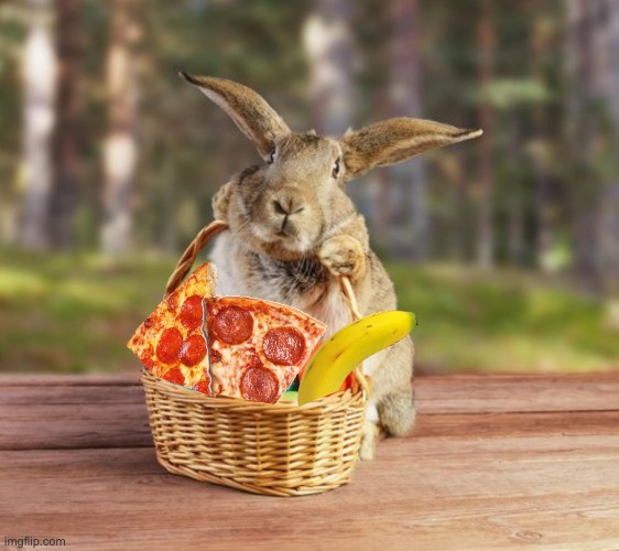 stressed Easter bunny | image tagged in stressed easter bunny,pizza,treats,bunny,basket | made w/ Imgflip meme maker