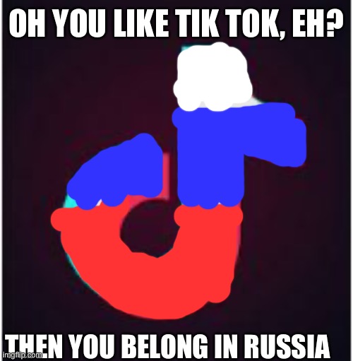 seriously, you do | OH YOU LIKE TIK TOK, EH? THEN YOU BELONG IN RUSSIA | image tagged in tik tok | made w/ Imgflip meme maker