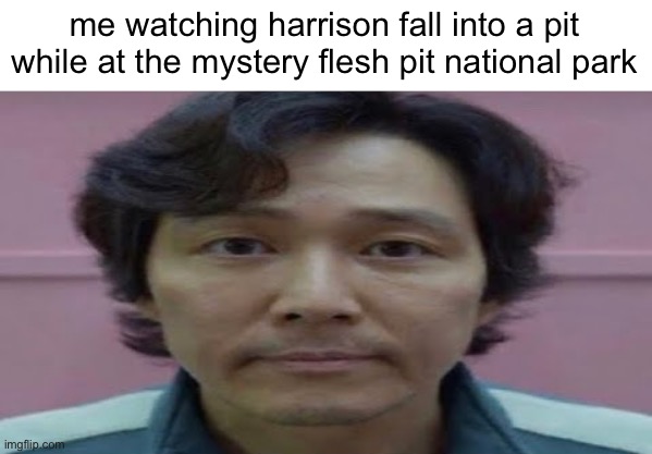 y | me watching harrison fall into a pit while at the mystery flesh pit national park | image tagged in shitpost status | made w/ Imgflip meme maker