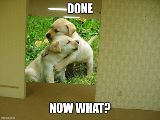 The Backrooms | DONE NOW WHAT? | image tagged in the backrooms | made w/ Imgflip meme maker