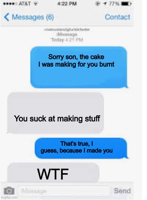 Lolz | Sorry son, the cake I was making for you burnt; You suck at making stuff; That’s true, I guess, because I made you; WTF | image tagged in blank text conversation | made w/ Imgflip meme maker