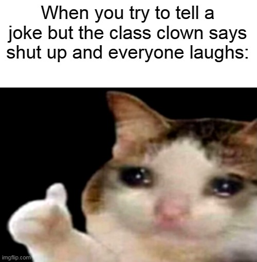:') | When you try to tell a joke but the class clown says shut up and everyone laughs: | image tagged in sad cat thumbs up | made w/ Imgflip meme maker