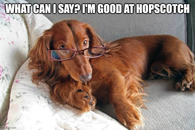 Intellectual dog | WHAT CAN I SAY? I'M GOOD AT HOPSCOTCH | image tagged in intellectual dog | made w/ Imgflip meme maker