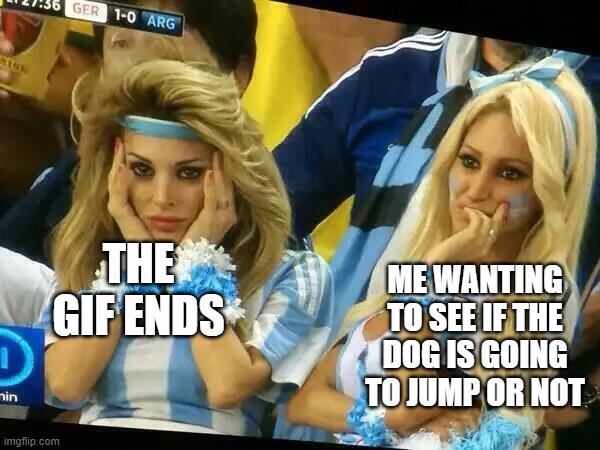 Argentina 2 Girls | THE GIF ENDS ME WANTING TO SEE IF THE DOG IS GOING TO JUMP OR NOT | image tagged in argentina 2 girls | made w/ Imgflip meme maker
