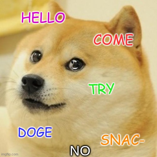 Doge snacks, Try now! | HELLO; COME; TRY; DOGE; SNAC-; NO | image tagged in memes,doge | made w/ Imgflip meme maker