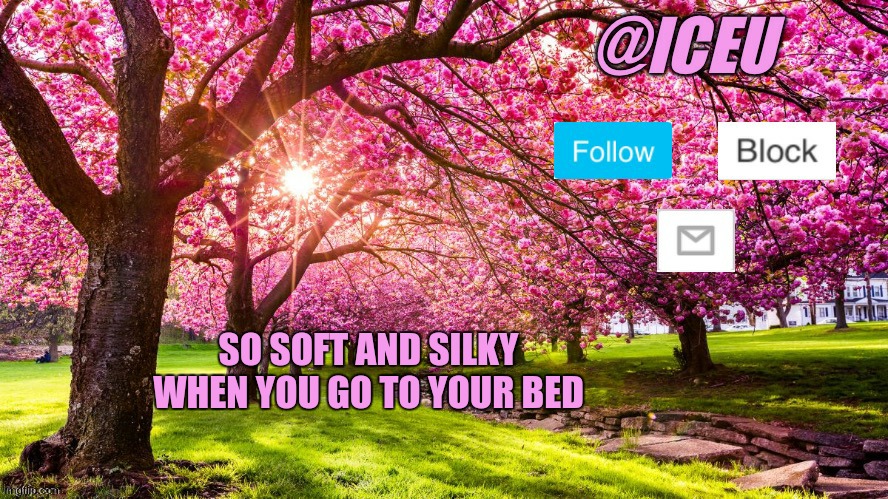 Iceu Spring Template | SO SOFT AND SILKY WHEN YOU GO TO YOUR BED | image tagged in iceu spring template | made w/ Imgflip meme maker