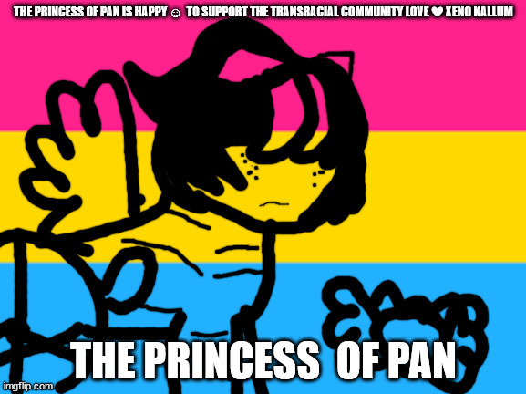 Pansexual flag | THE PRINCESS OF PAN IS HAPPY ☺  TO SUPPORT THE TRANSRACIAL COMMUNITY LOVE ❤ XENO KALLUM; THE PRINCESS  OF PAN | image tagged in pansexual flag | made w/ Imgflip meme maker