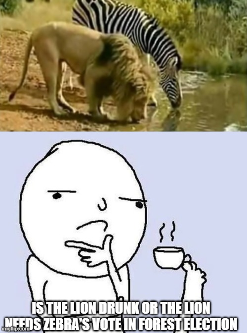 IS THE LION DRUNK OR THE LION NEEDS ZEBRA'S VOTE IN FOREST ELECTION | image tagged in thinking dude with a tea cup | made w/ Imgflip meme maker