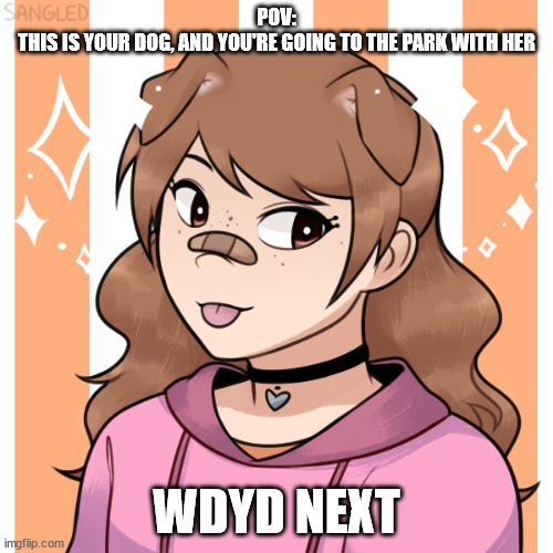 Had to redisgn her in picrew, because i wasnt fellowing the rules, also you can choose her name | POV:
THIS IS YOUR DOG, AND YOU'RE GOING TO THE PARK WITH HER; WDYD NEXT | made w/ Imgflip meme maker