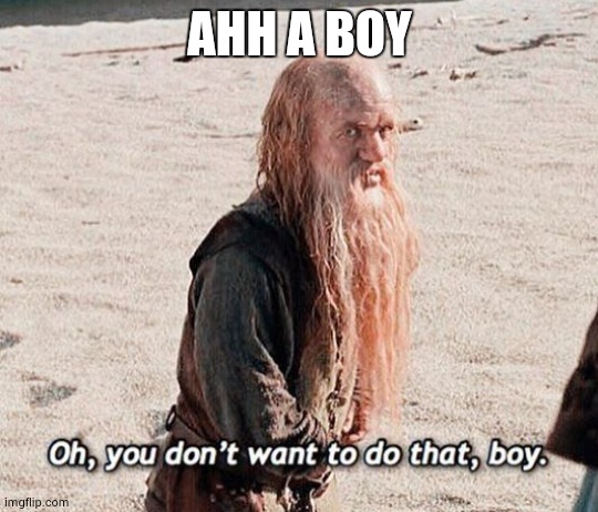 oh you don’t want to do that boy | AHH A BOY | image tagged in oh you don t want to do that boy | made w/ Imgflip meme maker