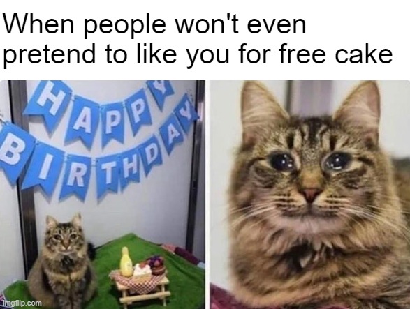 What kind of cake? | When people won't even pretend to like you for free cake | made w/ Imgflip meme maker