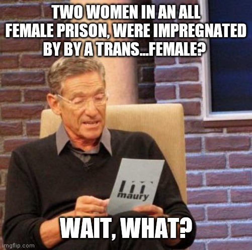 Why didn't I think of this? | TWO WOMEN IN AN ALL FEMALE PRISON, WERE IMPREGNATED BY BY A TRANS...FEMALE? WAIT, WHAT? | image tagged in maury lie detector,sexy women,sausage party,government,babies,69 | made w/ Imgflip meme maker