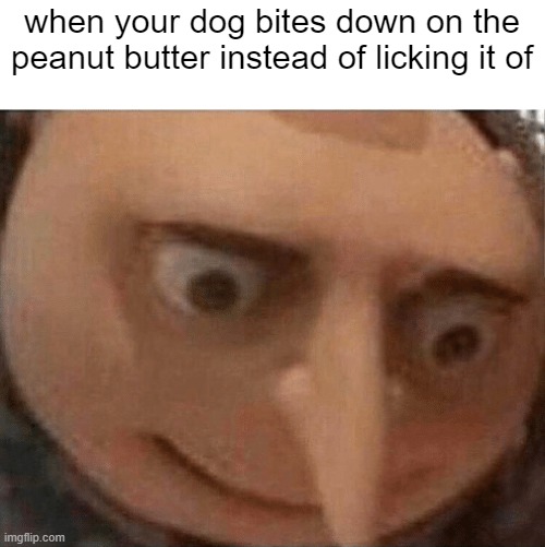 uh oh... | when your dog bites down on the peanut butter instead of licking it of | image tagged in uh oh gru | made w/ Imgflip meme maker