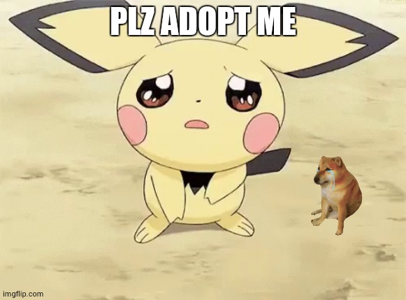 Sad pichu | PLZ ADOPT ME | image tagged in sad pichu | made w/ Imgflip meme maker