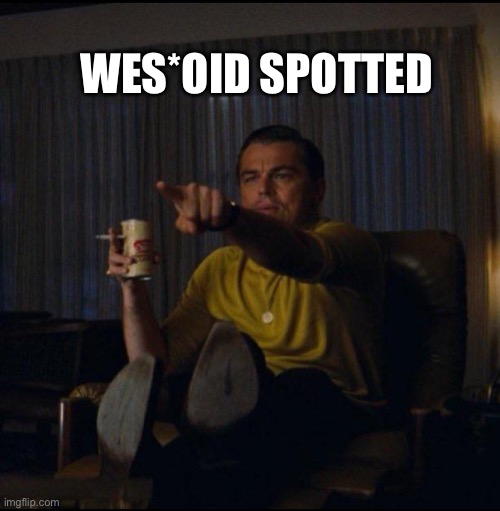 Leonardo DiCaprio Pointing | WES*OID SPOTTED | image tagged in leonardo dicaprio pointing | made w/ Imgflip meme maker