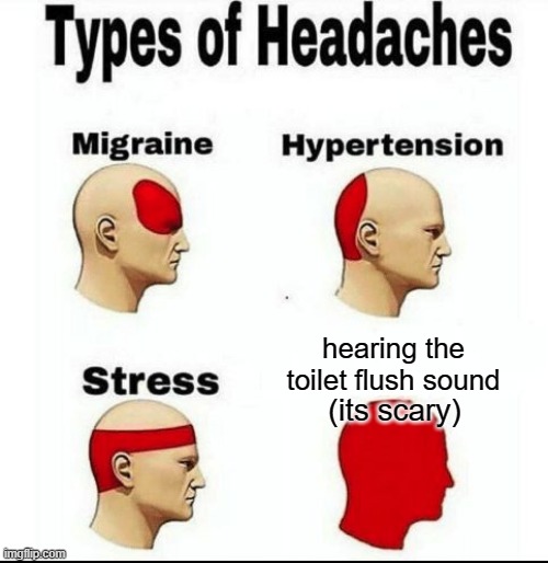 Types of Headaches meme | hearing the toilet flush sound; (its scary) | image tagged in types of headaches meme | made w/ Imgflip meme maker
