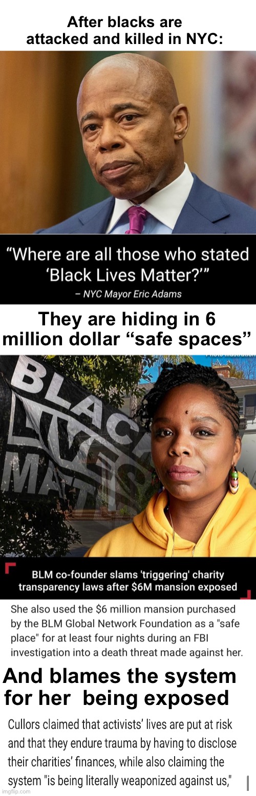 The love of $$$$ is the root of all……. | After blacks are attacked and killed in NYC:; They are hiding in 6 million dollar “safe spaces”; And blames the system for her  being exposed | image tagged in politics lol,memes,hypocrisy,derp | made w/ Imgflip meme maker