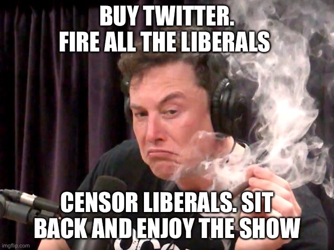 If only… but it would be funny | BUY TWITTER. FIRE ALL THE LIBERALS; CENSOR LIBERALS. SIT BACK AND ENJOY THE SHOW | image tagged in elon musk weed | made w/ Imgflip meme maker