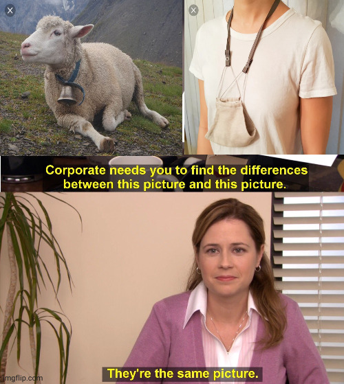 Wool | image tagged in memes,they're the same picture | made w/ Imgflip meme maker