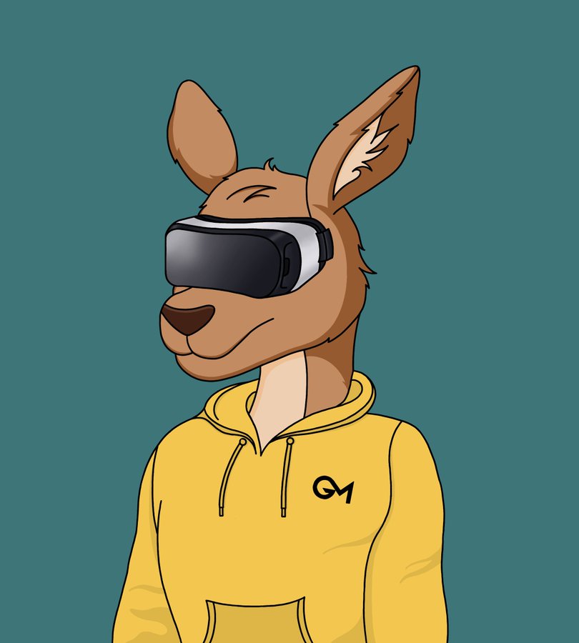 VR Kangaroo Blank Meme Template