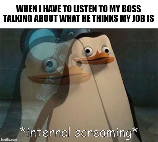 internal screamin at work | WHEN I HAVE TO LISTEN TO MY BOSS TALKING ABOUT WHAT HE THINKS MY JOB IS | image tagged in private internal screaming,it,workplace | made w/ Imgflip meme maker