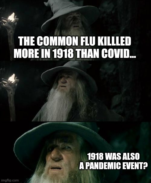 Some idiot claiming 1918 was a common flu outbreak... proves is idiotic troll. | THE COMMON FLU KILLLED MORE IN 1918 THAN COVID... 1918 WAS ALSO A PANDEMIC EVENT? | image tagged in memes,confused gandalf | made w/ Imgflip meme maker