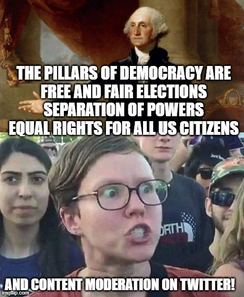 THE PILLARS OF DEMOCRACY ARE
FREE AND FAIR ELECTIONS
SEPARATION OF POWERS
EQUAL RIGHTS FOR ALL US CITIZENS; AND CONTENT MODERATION ON TWITTER! | image tagged in george washington,triggered liberal | made w/ Imgflip meme maker