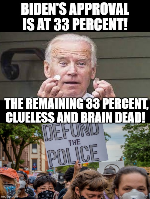 Are you in the 33 Percent? | THE REMAINING 33 PERCENT, CLUELESS AND BRAIN DEAD! | image tagged in clueless,brain dead,morons | made w/ Imgflip meme maker