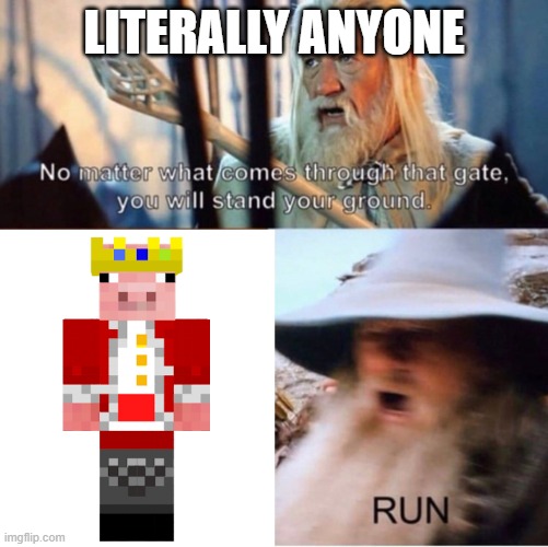 run | LITERALLY ANYONE | image tagged in no matter what comes through that gate | made w/ Imgflip meme maker