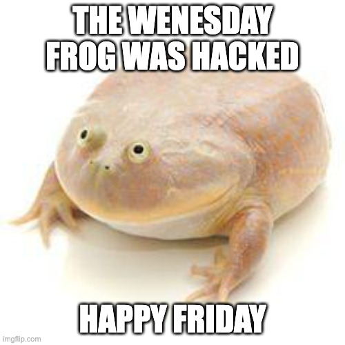 wendsday frog |  THE WENESDAY FROG WAS HACKED; HAPPY FRIDAY | image tagged in wednesday frog blank,friday,frog | made w/ Imgflip meme maker