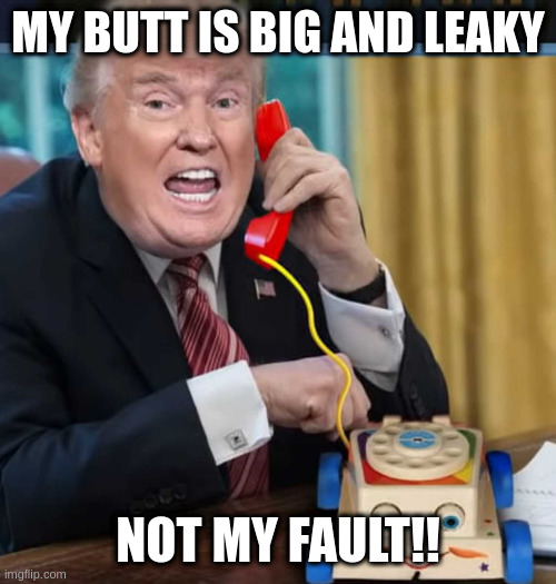 I'm the president | MY BUTT IS BIG AND LEAKY NOT MY FAULT!! | image tagged in i'm the president | made w/ Imgflip meme maker