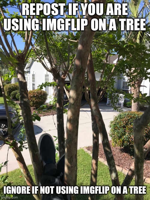 Mmmm…… monke | REPOST IF YOU ARE USING IMGFLIP ON A TREE; IGNORE IF NOT USING IMGFLIP ON A TREE | made w/ Imgflip meme maker