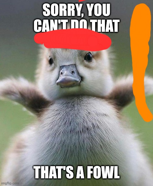 Baby Duck | SORRY, YOU CAN'T DO THAT; THAT'S A FOWL | image tagged in baby duck | made w/ Imgflip meme maker