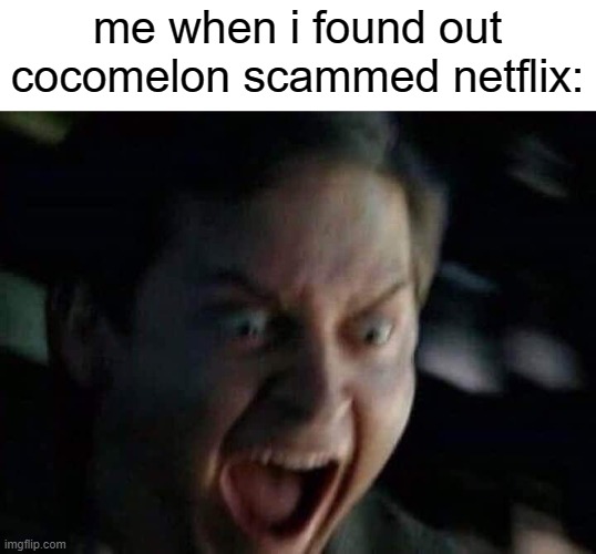 Screaming Peter Parker | me when i found out cocomelon scammed netflix: | image tagged in screaming peter parker,cocomelon,netflix | made w/ Imgflip meme maker