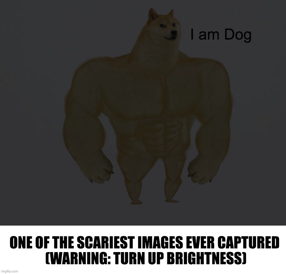 I wonder what this is (Warning: Jumpscare!) | I am Dog; ONE OF THE SCARIEST IMAGES EVER CAPTURED 
(WARNING: TURN UP BRIGHTNESS) | image tagged in memes,buff doge vs cheems,funny,doge | made w/ Imgflip meme maker