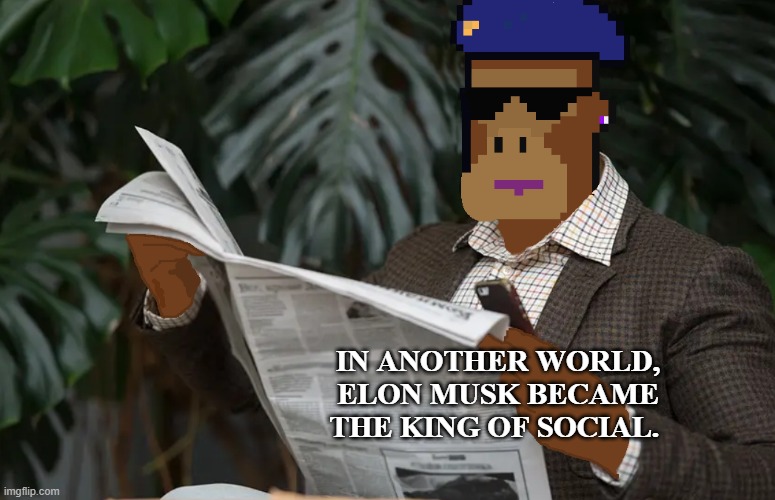 bunkpunks | IN ANOTHER WORLD, ELON MUSK BECAME THE KING OF SOCIAL. | image tagged in bunkpunks | made w/ Imgflip meme maker