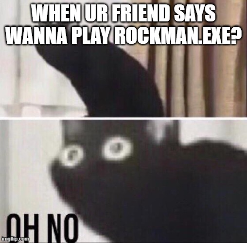 VERY poor choice of naming, capcom | WHEN UR FRIEND SAYS WANNA PLAY ROCKMAN.EXE? | image tagged in oh no cat | made w/ Imgflip meme maker