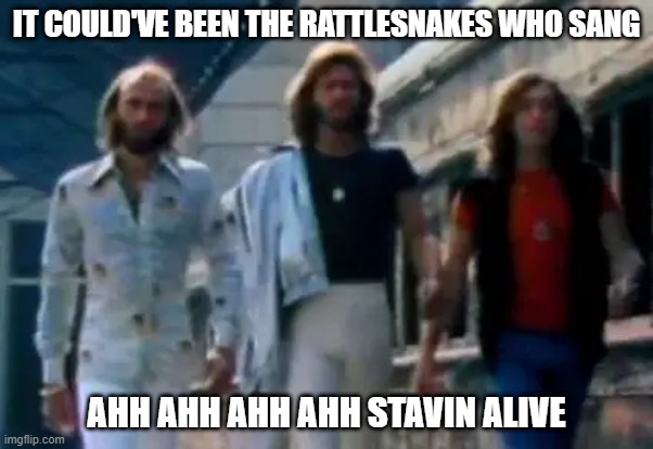 The Bee Gees Other Name | IT COULD'VE BEEN THE RATTLESNAKES WHO SANG; AHH AHH AHH AHH STAVIN ALIVE | made w/ Imgflip meme maker