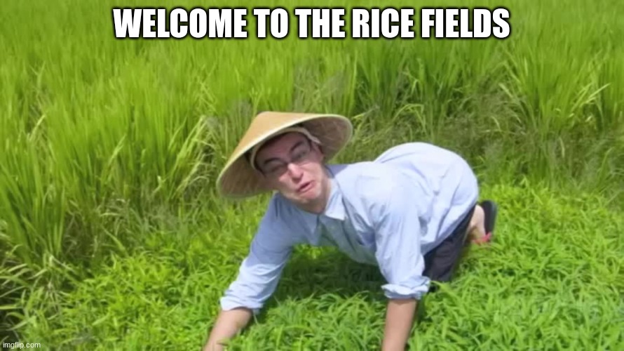 WELCOME TO THE RICE FIELDS | WELCOME TO THE RICE FIELDS | image tagged in welcome to the rice fields | made w/ Imgflip meme maker