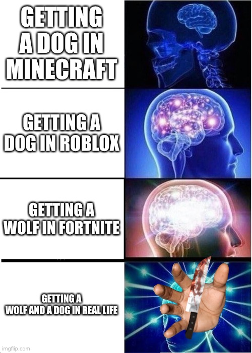 Expanding Brain Meme | GETTING A DOG IN MINECRAFT; GETTING A DOG IN ROBLOX; GETTING A WOLF IN FORTNITE; GETTING A WOLF AND A DOG IN REAL LIFE | image tagged in memes,expanding brain | made w/ Imgflip meme maker