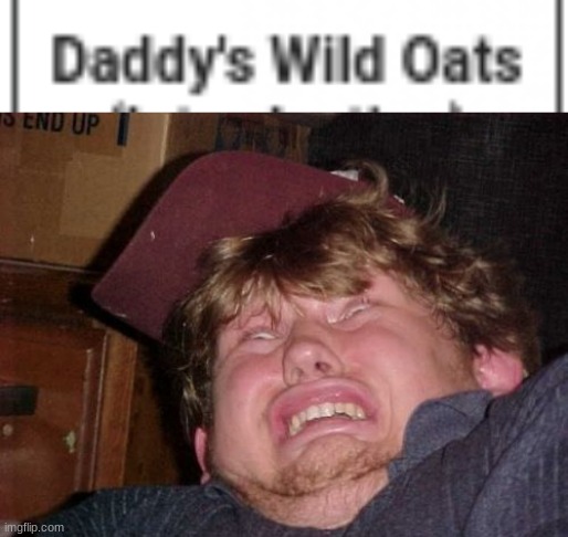 XD when an npc says something out of context | image tagged in memes,wtf,xd,daddy,wild,oats | made w/ Imgflip meme maker