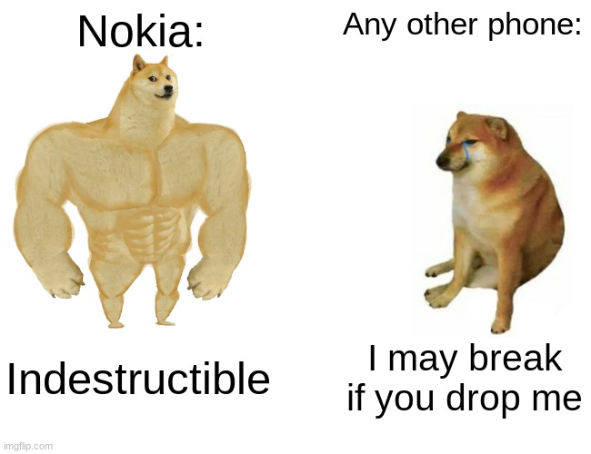 stronk | Nokia:; Any other phone:; Indestructible; I may break if you drop me | image tagged in memes,buff doge vs cheems,nokia vs iphone | made w/ Imgflip meme maker
